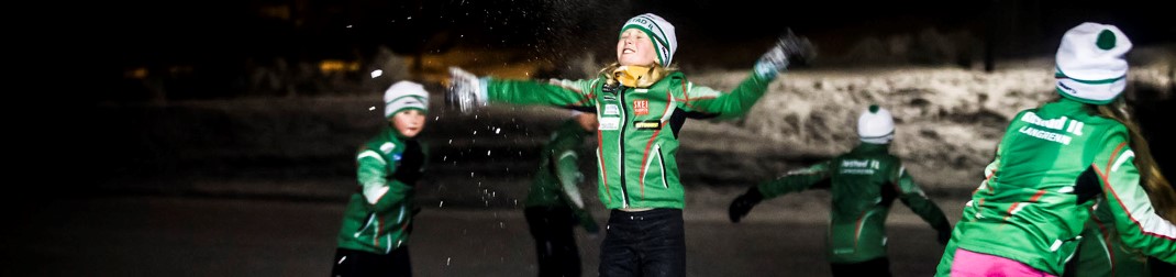 Nittedal idrettsråd